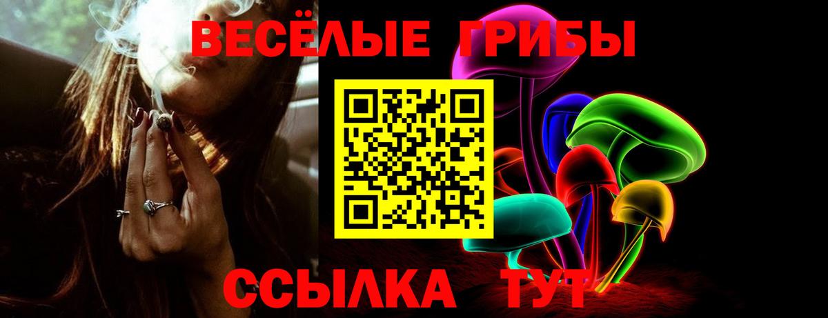 Галлюциногенные грибы GOLDEN TEACHER Тихвин